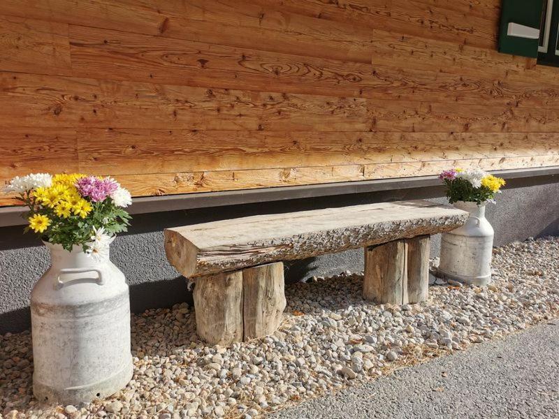 Bruecklerhof Apartman Haus im Ennstal Kültér fotó